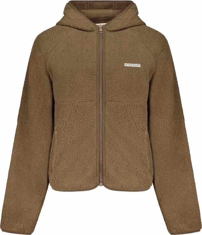 Guess Jeans Marrone Polyester Women Sweatshirt