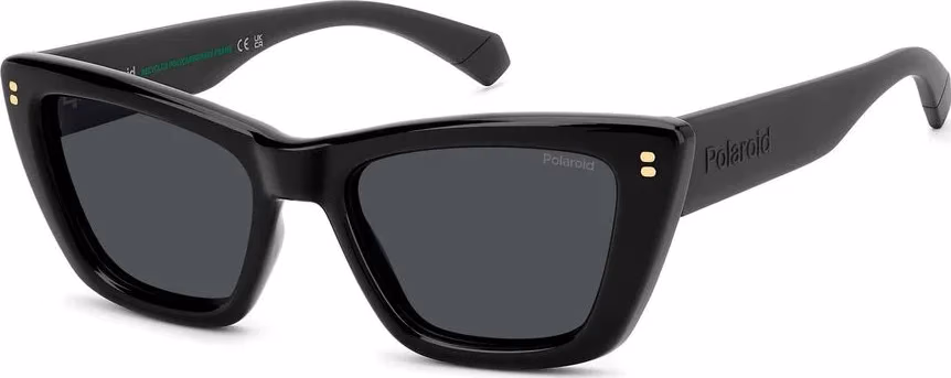 Polaroid Black Polycarbonate Sunglasses