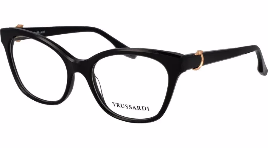 Trussardi Black Acetate Glasses (Frames)