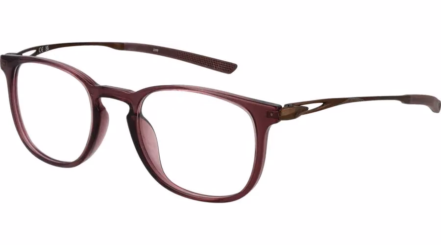 Nike Brown Titanium Glasses (Frames)